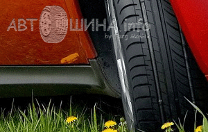 выбор летних шин